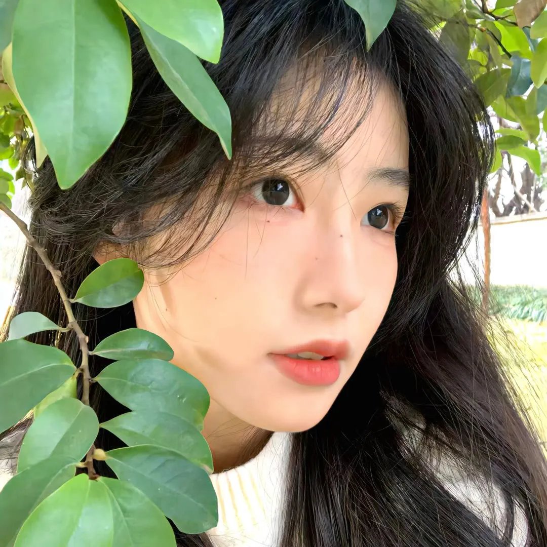 生命中的岛屿